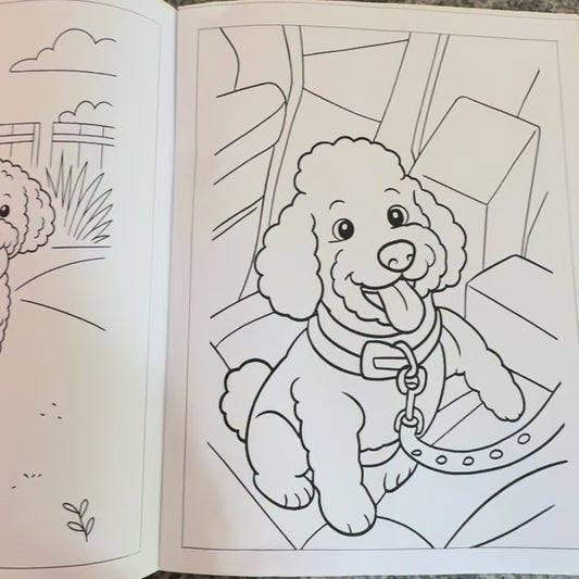 Custom Coloring Book (Made to Order)